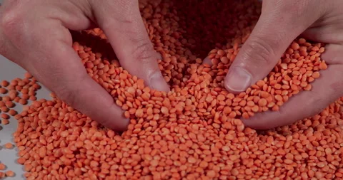 Slow Motion Farmer Hands Red Lentils. Macro Shot Lentil Texture Pattern Bac.. Stock Footage 318463727