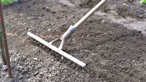 A slow motion of the farmer's action with a rake during the sowing of vegetables Stock Footage 111399208