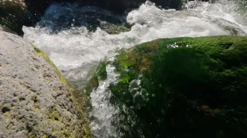 Slow motion of a fast flowing mountain river over mossy rocks Video stock 320920950