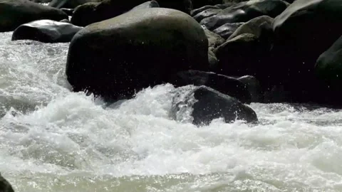Slow motion of a fast flowing rocky mountain river Stock Footage 320954554