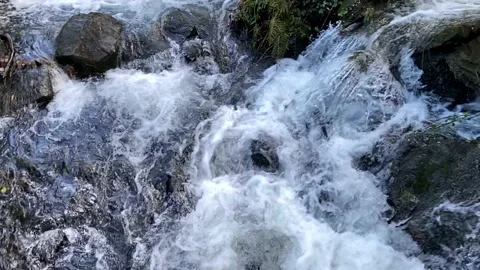 Slow Motion of Fast Flowing Stream Stock Footage 149263799