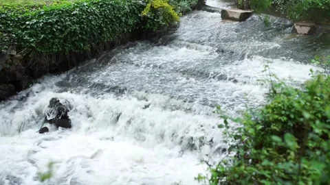 Slow Motion Fast-Running River Stock Footage 280184699