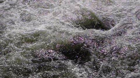 Slow motion fast water in the stream Stock Footage 97704328