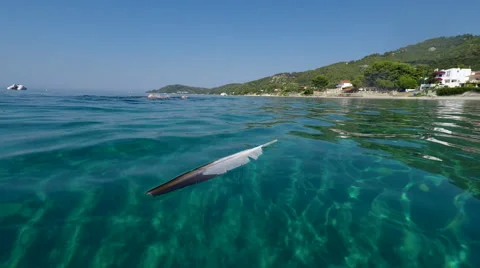 Slow motion of a feather on a sea surface 動画素材 68209970