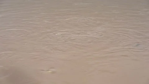 Slow motion feeding fish in ponds on nature Video stock 163545317