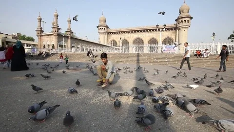 Slow-Motion-Feeding-Pigeons-Mecca-Masjid Stock Footage 74759581