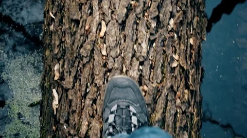 Slow motion of feet walking on fallen tree trunk in lake or river Stock Footage 75941105