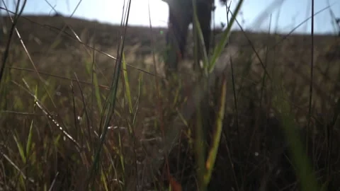 Slow Motion Feet Walking Through Grass 動画素材 317910957