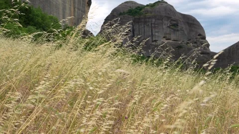 Slow Motion Field of Wheat Yellow Grasses with Rocks Mountains in Backgroun.. Stock Footage 334897205