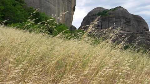 Slow Motion Field of Wheat Yellow Grasses with Rocks Mountains in Backgroun.. Stock Footage 334897269