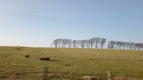 Slow motion film of two crows flying over a field. Stock Footage 105878903