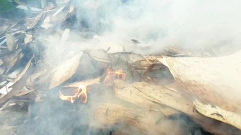 Slow motion fire and smoke from burning wood waste Stock Footage 320978077