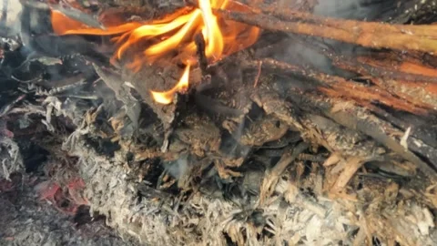 Slow motion fire and smoke from burning wood waste Video stock 320978112