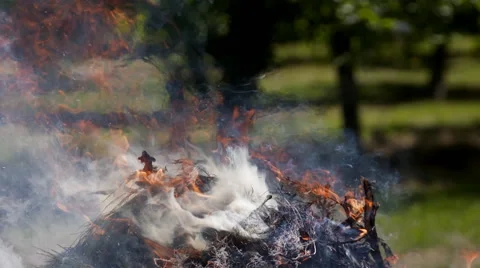 Slow motion fire backlit from sun Stock Footage 57097815