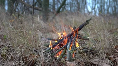 Slow motion. A fire is burning in the forest. Stock Footage 154697162