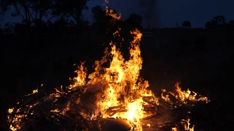 Slow Motion - Fire Burns At Night Stock Footage 195281680