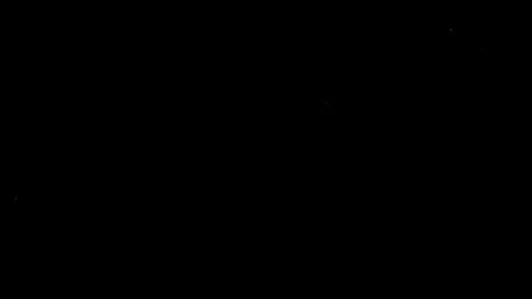 Slow motion Fire Dancing in the Pitch Black Vídeo Stock 120250518