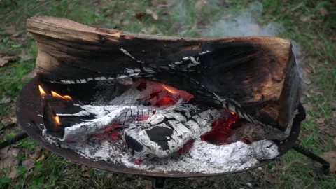 Slow motion fire. Fireplace burning. Warm cozy burning fire in a brick fireplace Stock-Footage 135327297