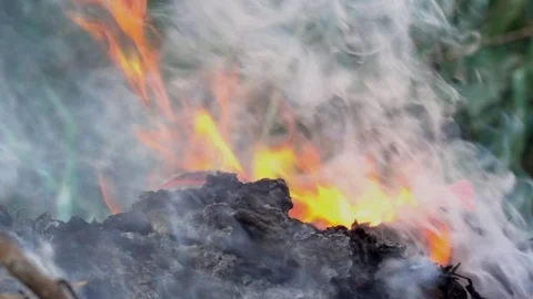 Slow motion fire flame and smoke burning on garbage on dark background Vídeo Stock 100336093