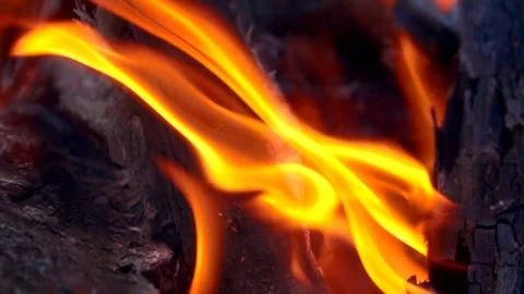 Slow motion fire flame burning on black background. It beautiful flame of fire Stock-Footage 83690862
