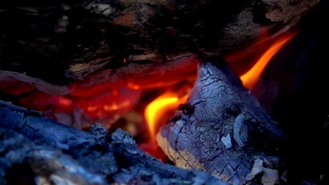 Slow motion fire flame burning on black background. It beautiful flame of fire Vídeos de archivo 83720967
