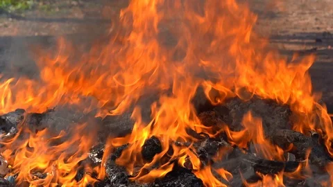 Slow motion fire flame burning garbage to black smoke floating to air pollution Stock Footage 100182711