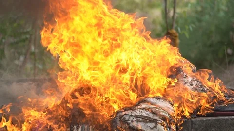 Slow motion fire flame burning, hot and danger orange flame and smoke glowing Stock Footage 112349164