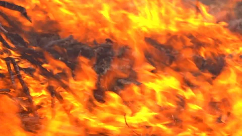 Slow motion fire flame burning in forest nature background 動画素材 148393667