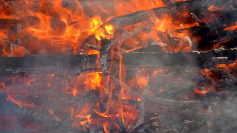 Slow motion fire flame burning in forest nature background Stockbeeldmateriaal 148394801
