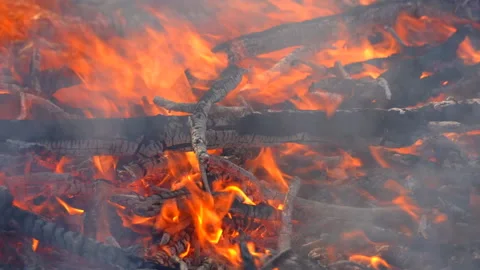 Slow motion fire flame burning in forest nature background Vídeos de archivo 148394819