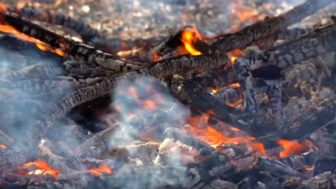Slow motion fire flame burning in forest nature background Vídeos de archivo 148395368