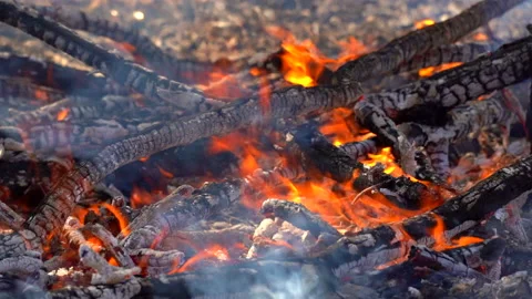 Slow motion fire flame burning in forest nature background Stock Footage 148395394