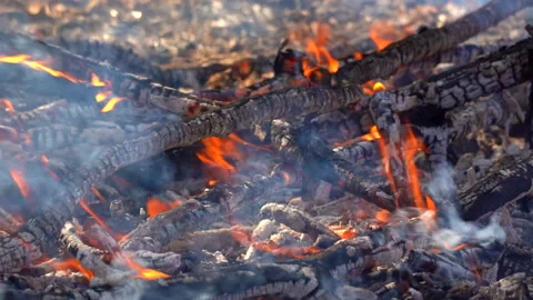 Slow motion fire flame burning in forest nature background Stock Footage 148395701