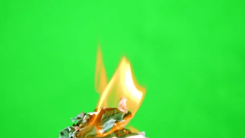 Slow motion fire flame burning on green screen background Stock Footage 218789554