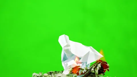 Slow motion fire flame burning on green screen background Vídeo Stock 218794391