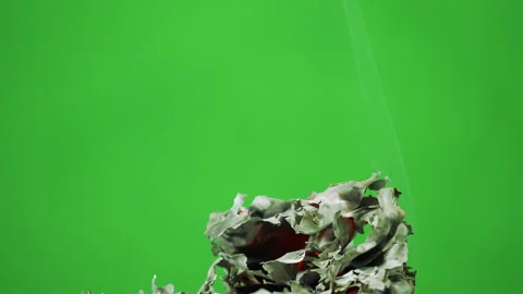 Slow motion fire flame burning on green screen background Vidéo 218797181