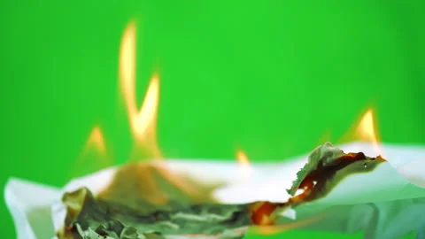 Slow motion fire flame burning on green screen background Stock-Footage 218996046