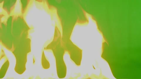 Slow motion fire flame burning on green screen background Stock-Footage 219552948