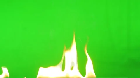 Slow motion fire flame burning on green screen background Vídeo Stock 219553004