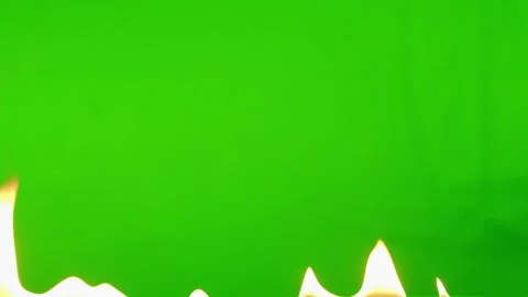 Slow motion fire flame burning on green screen background Stock-Footage 219553011