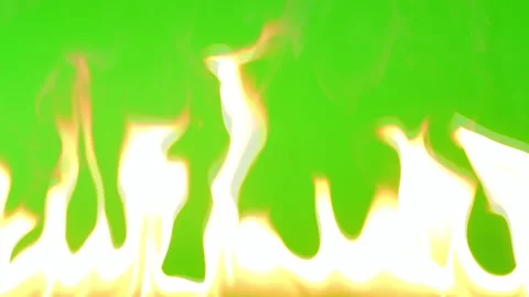 Slow motion fire flame burning on green screen background Vídeo Stock 219553361