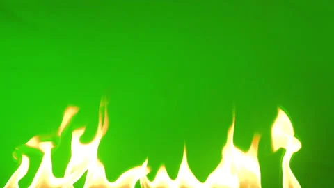 Slow motion fire flame burning on green screen background Vidéo 219568774