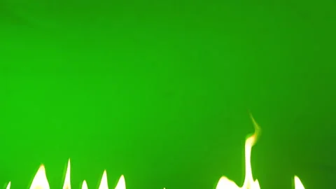 Slow motion fire flame burning on green screen background Stock-Footage 219569140