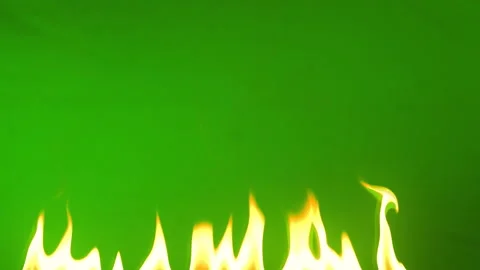 Slow motion fire flame burning on green screen background Stock-Footage 219569180