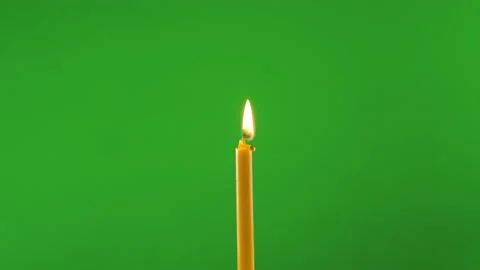 Slow motion fire flame burning on green screen background 動画素材 219571826
