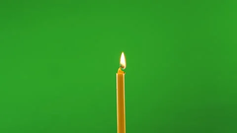 Slow motion fire flame burning on green screen background Stock Footage 219575249