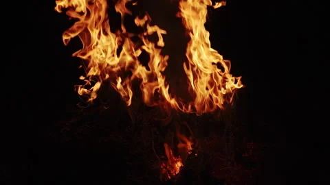 Slow Motion Fire Flames Burning  Vídeos de archivo 330718805
