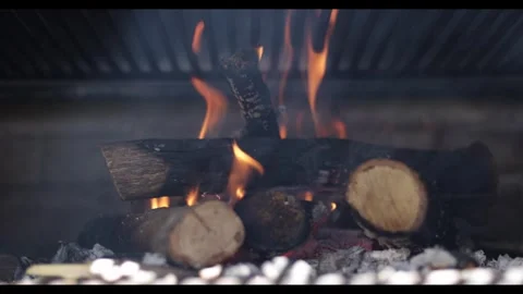Slow Motion Fire Flames on Burning Logs Stock Footage 332373973