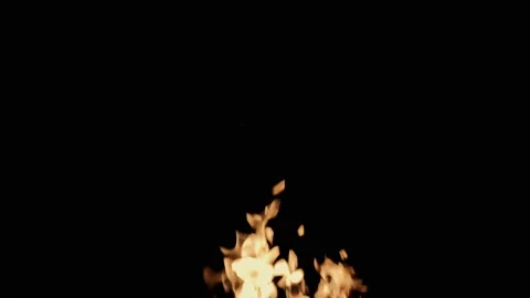 Slow Motion Fire Ignition From Bottom To Top. Isolated fire flame Stock Footage 113263489