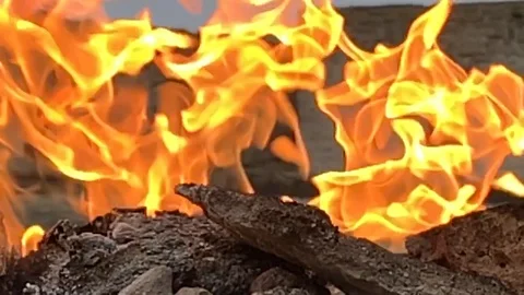 Slow motion fire - natural, erratic flame movement study Stock Footage 123771541